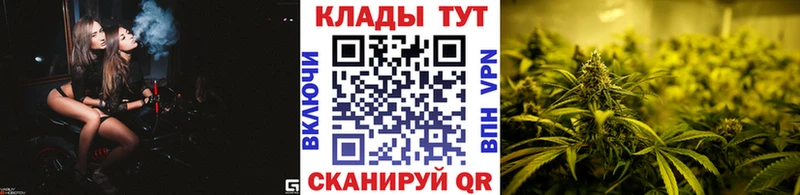 Как найти наркотики Североморск Псилоцибиновые грибы  Конопля  Кокаин  МЕФ  Гашиш 